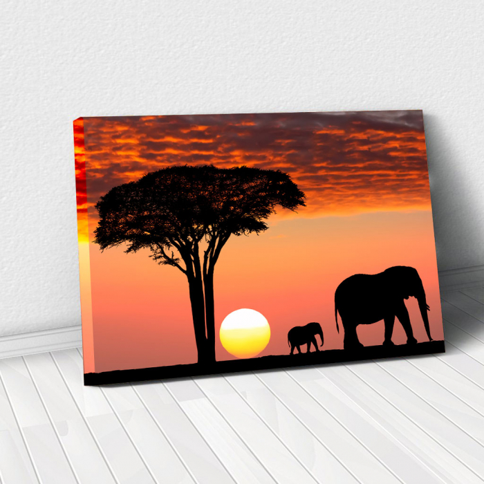 Tablou Canvas - African Sunset [1]