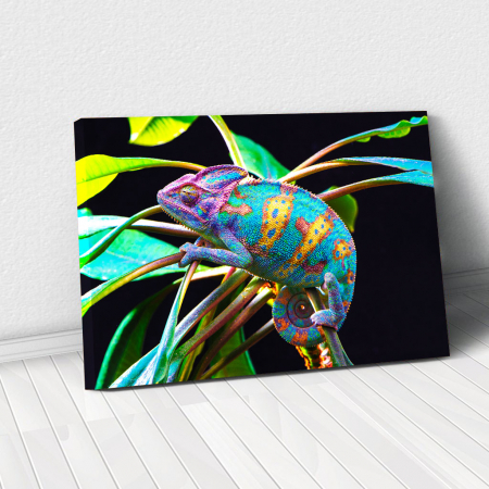 Decor de perete - Tablou Canvas - Yemen Cameleon