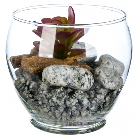 Decor de mobila - Bol decorativ cu plantă și pietricele 11.5x12
