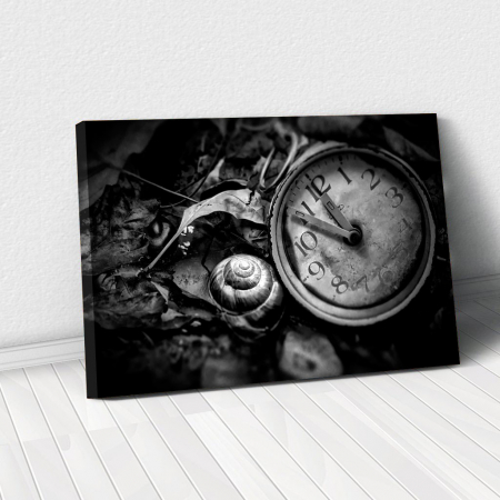 Alb - Negru - Tablou Canvas - Lost time