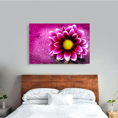 Tablou Canvas - Purple flower [1]