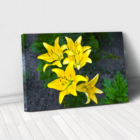 Floral - Tablou Canvas - Lilies