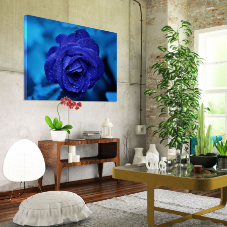 Tablou Canvas -Trandafir Albastru [1]