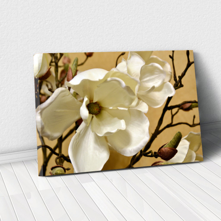 Tablou Canvas - Floare alba [4]