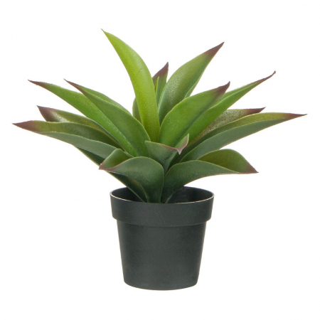 Decor de mobila - Ghiveci decorativ Aloe Vera - 25cm