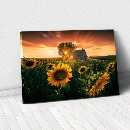 Decor de perete - Tablou Canvas - Floarea Soarelui