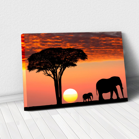 Tablou Canvas - African Sunset [0]