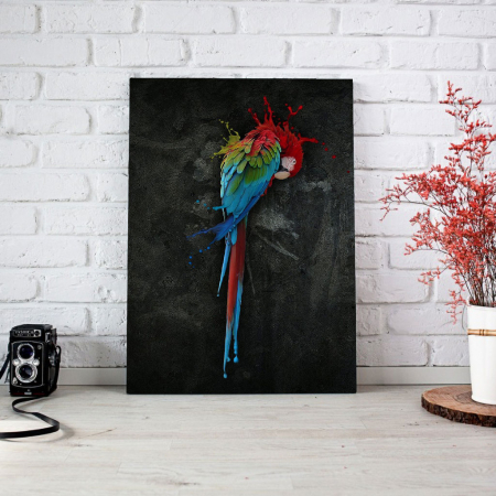 Tablou Canvas - Parrot [3]