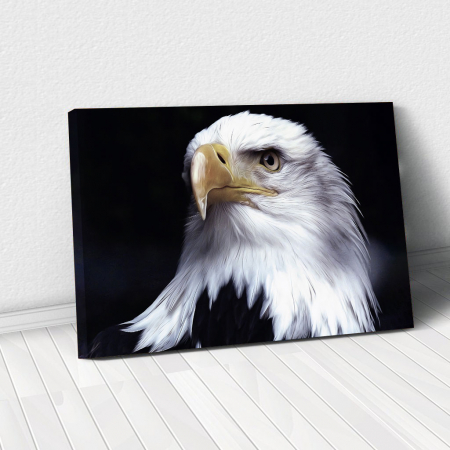 Decor de perete - Tablou Canvas - Acvila americana