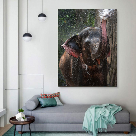 Tablou Canvas - Elephant [2]