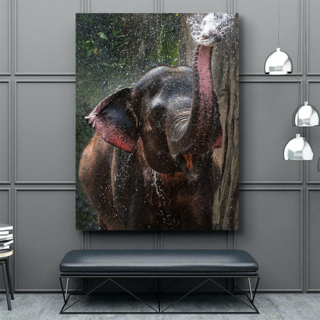 Tablou Canvas - Elephant [3]