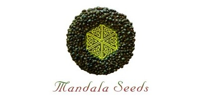 Mandala Seeds