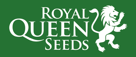 Royal Queen Seeds