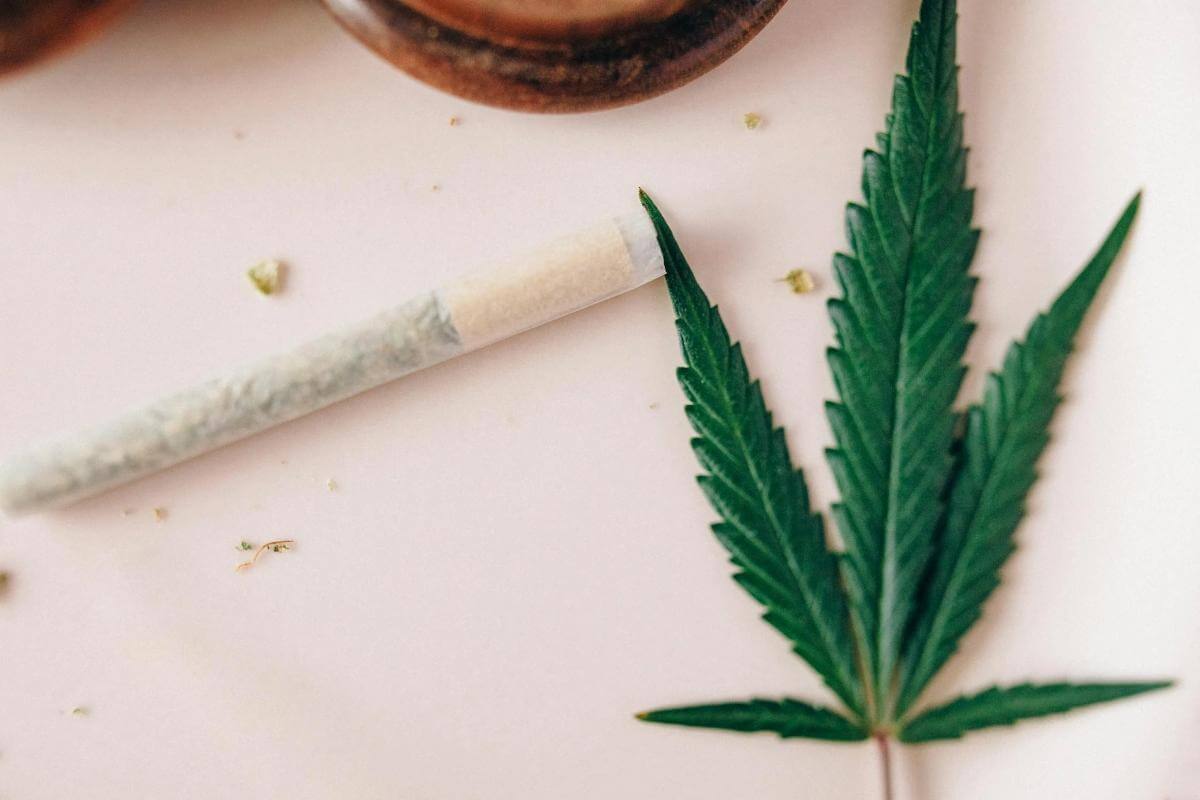 2.CBD in Romania e legal-frunze cannabis, tigara