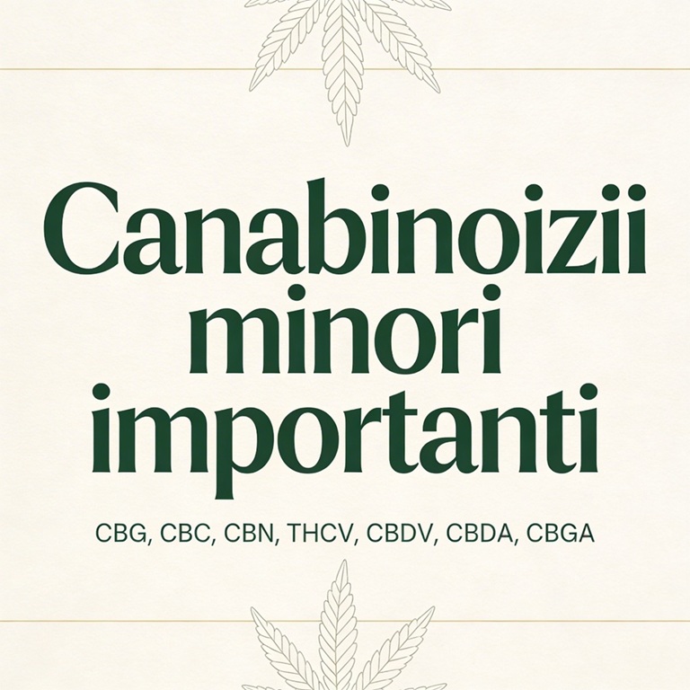 Canabinoizii minori importanți: ce sunt CBG, CBC, CBN, THCV, CBDV, CBDA și CBGA