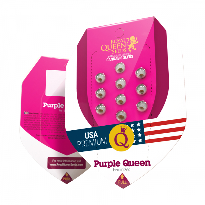 Seminte Canabis Purple Queen USA Feminized, 5 seminte [1]