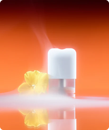 POD Ripple+, FOCUS, Mango [3]