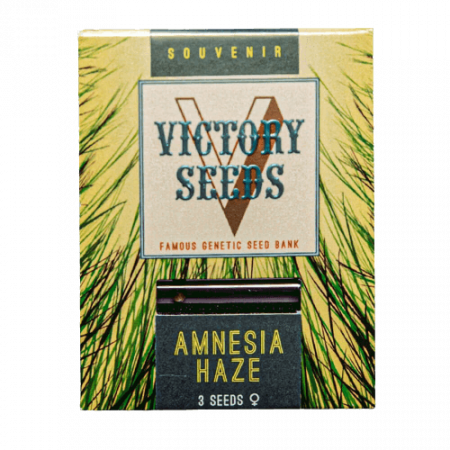 Seminte Cannabis - Seminte Canabis Amnesia Haze Feminized