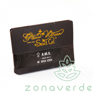 Seminte Cannabis - Seminte Canabis AMS Feminized, 5 seminte