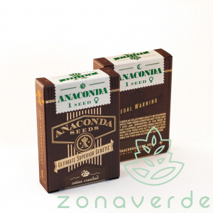 Seminte Cannabis - Seminte Canabis Anaconda Feminized