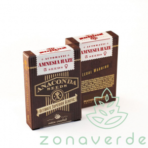 Seminte Autoflower - Seminte Cannabis Auto Amnesia Haze Feminized