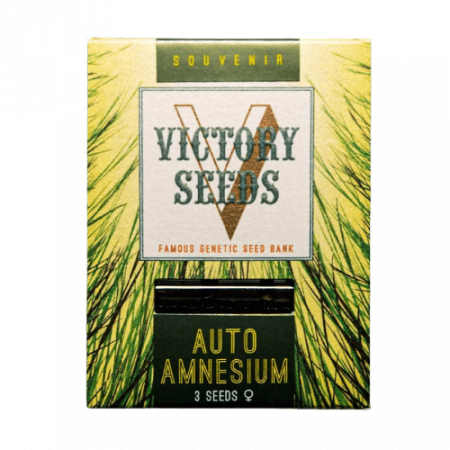 Seminte Cannabis - Seminte Cannabis Auto Amnesium Feminized