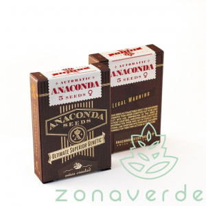 Seminte Cannabis - Seminte Cannabis Auto Anaconda Feminized
