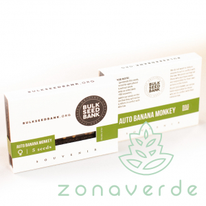 Seminte Cannabis - Seminte Cannabis Auto Banana Monkey Feminized