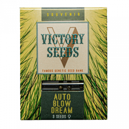 Seminte Cannabis - Seminte Cannabis Auto Blow Dream, Feminized