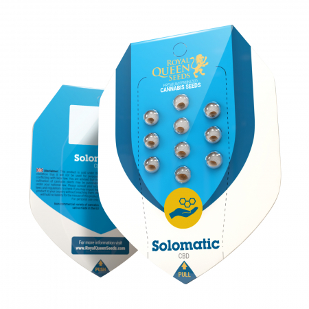 Seminte CBD - Seminte Cannabis Auto CBD Solomatic Feminized, 5 seminte