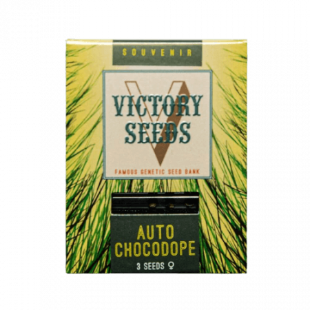 Seminte Cannabis - Seminte Cannabis Auto Chocodope Feminized