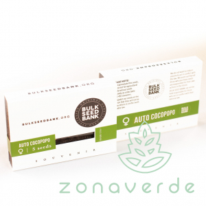 Seminte Cannabis - Seminte Cannabis Auto Cocopopo Feminized