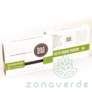 Seminte Cannabis - Seminte Cannabis Auto Dubai Poison Feminized