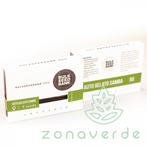 Seminte Cannabis - Seminte Cannabis Auto Gelato Samba Feminized