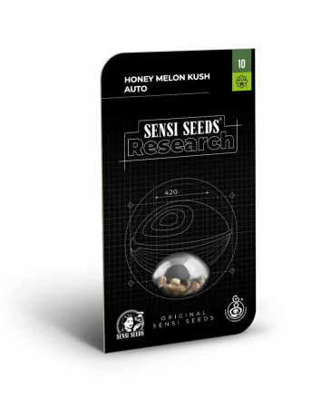 Seminte Cannabis - Auto Honey Melon Kush Feminized, 5 seminte