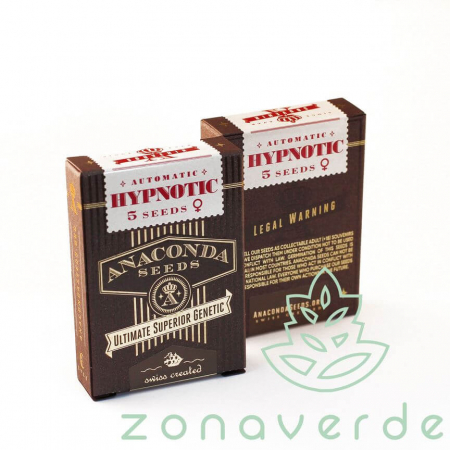Seminte Autoflower - Seminte Cannabis Auto Hypnotic Feminized