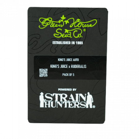 Seminte Cannabis - Auto Kings Juice Feminized, 5 seminte