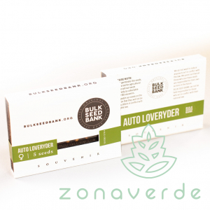 Seminte Cannabis - Seminte Cannabis Auto Loveryder Feminized