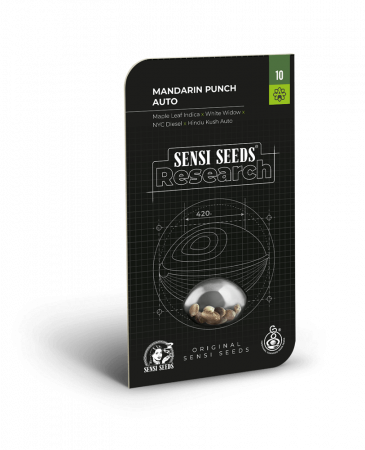 Seminte Cannabis - Auto Mandarin Punch Feminized, 5 seminte
