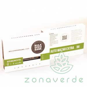 Seminte Cannabis - Seminte Cannabis Auto Mazar Extra Feminized