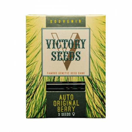 Seminte Cannabis - Seminte Cannabis Auto Original Berry Feminized