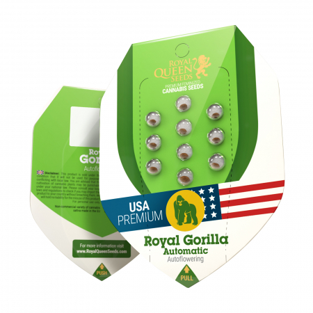 Producatori seminte - Seminte Cannabis Auto Royal Gorilla USA Feminized, 5 seminte