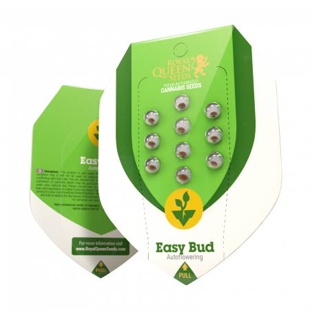 Seminte Cannabis - Seminte Cannabis Auto Easy Bud Feminized, 5 seminte