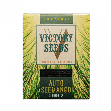 Victory Seeds - Seminte Cannabis Auto Seemango Feminized