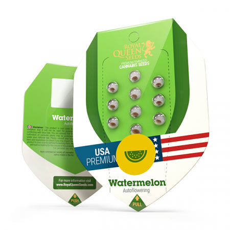 Producatori seminte - Seminte Cannabis Auto Watermelon USA Feminized, 5 seminte