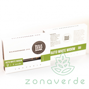 Seminte Cannabis - Seminte Cannabis Auto White Widow Feminized