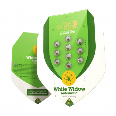 Seminte Cannabis - Seminte Cannabis Auto White Widow Feminized, 5 seminte