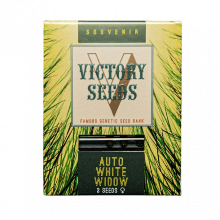 Seminte Cannabis - Seminte Cannabis Auto White Widow Feminized