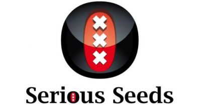 Seminte Cannabis - Seminte Canabis Serious Kush Feminized, 6 seminte