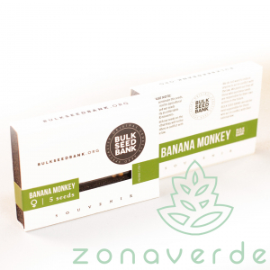 Seminte Cannabis - Seminte Canabis Banana Monkey Feminized